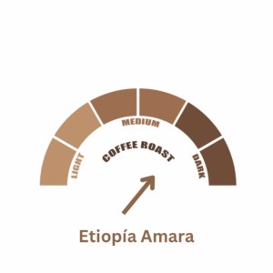 Ethiopia Amara roasting Profile
