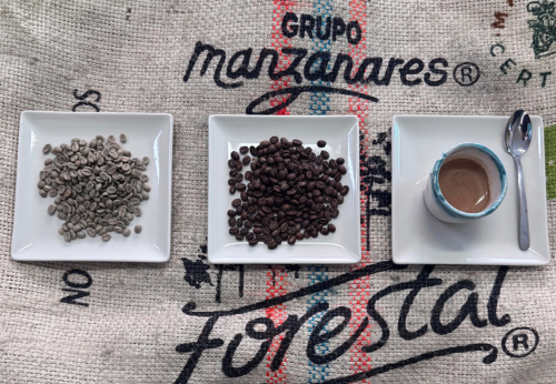 Green coffee beans and freshly roasted coffee beans and a double espresso in a cup on white plates on a coffee sack.